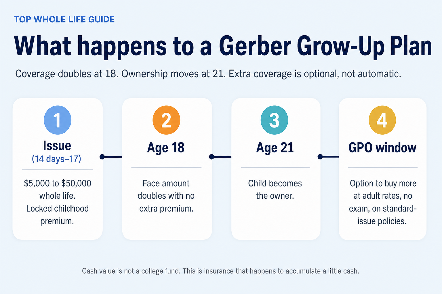 Timeline of a Gerber Grow-Up Plan from issue ages 14 days to 17, coverage doubling at 18, ownership at 21, and the guaranteed purchase option