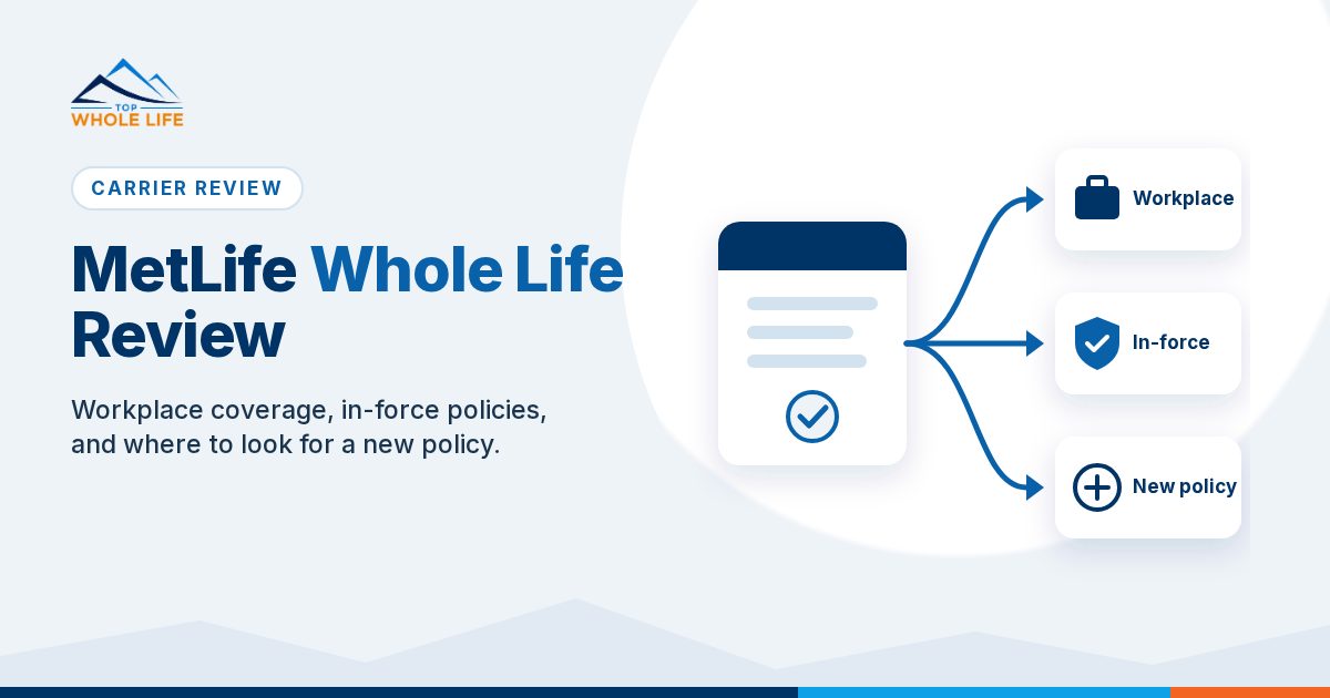 Diagram of a policy document with a check mark and three arrows branching to cards labeled Workplace, In-force and New policy, on a light blue background
