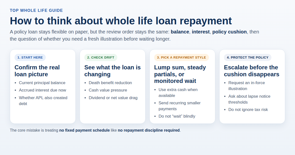 Diagram showing the review order for a whole life policy loan: balance, interest, repayment style, and escalation before lapse risk grows