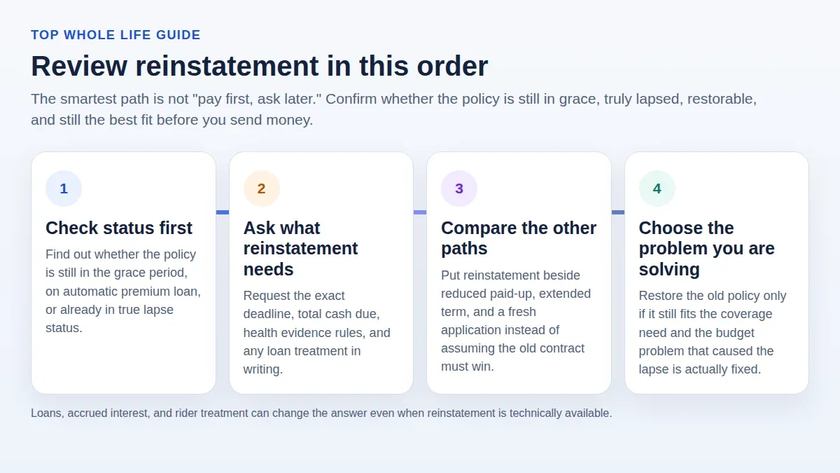 Four-step diagram showing whole life reinstatement review from grace period to lapse status, reinstatement requirements, and option comparison