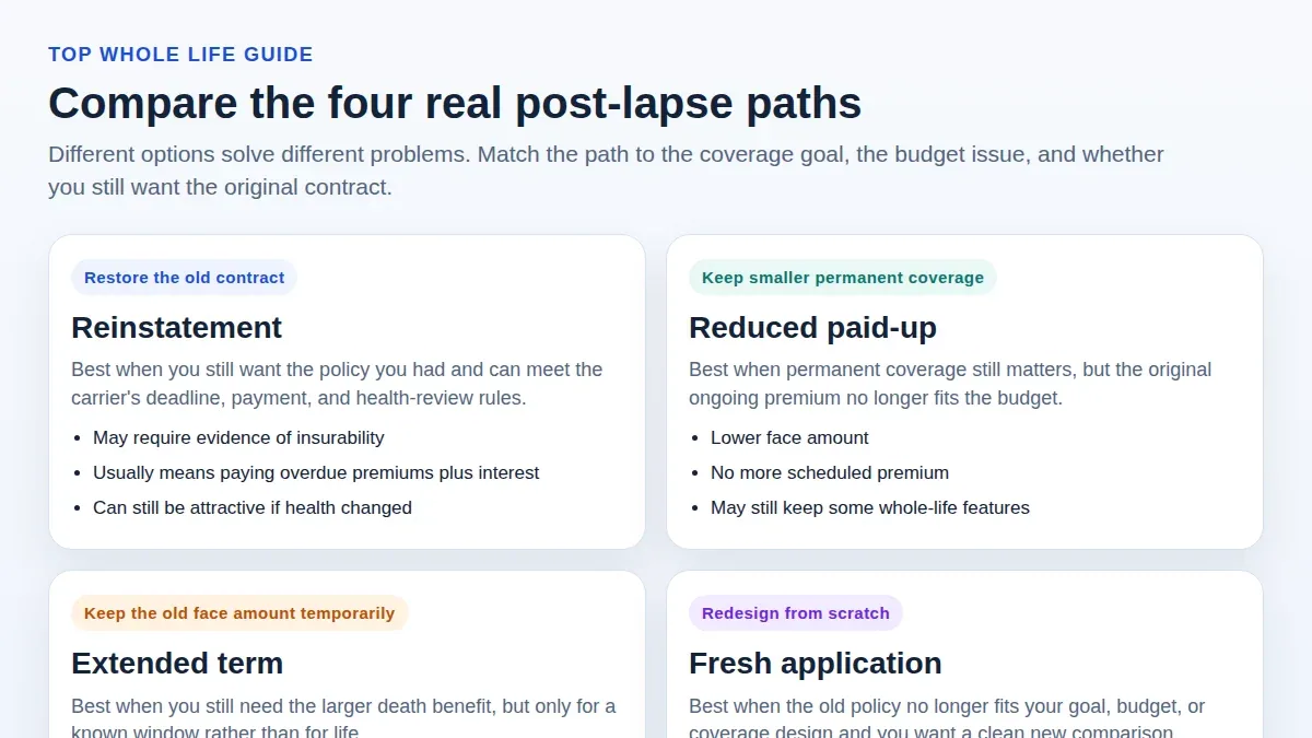 Four-column comparison of reinstatement, reduced paid-up, extended term, and a fresh application, showing what each option protects and where each one fits best