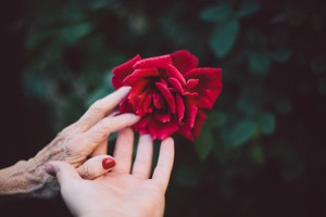 Whole Life Insurance with Long Term Care [LTC For Cheap?]