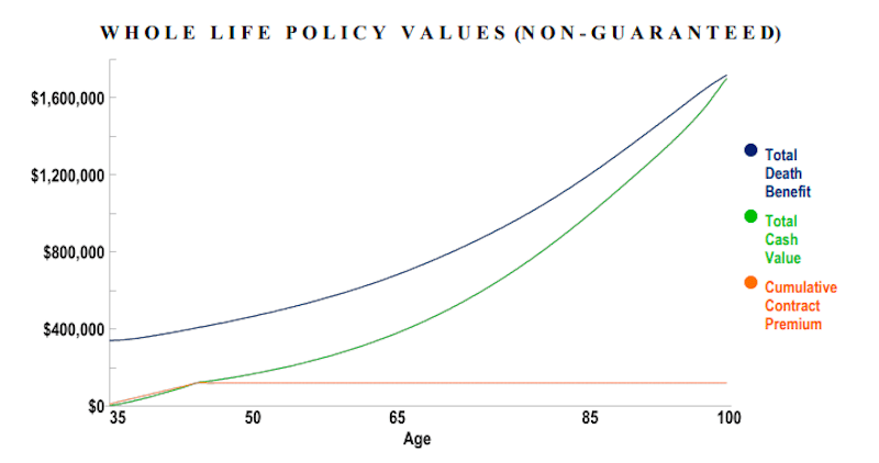 Top 7 whole life insurance companies for cash value in 2026