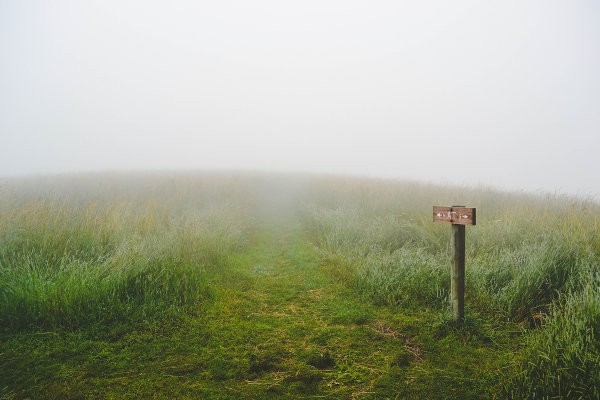 Maxed Out Your Roth IRA? What To Do Next With Extra Money
