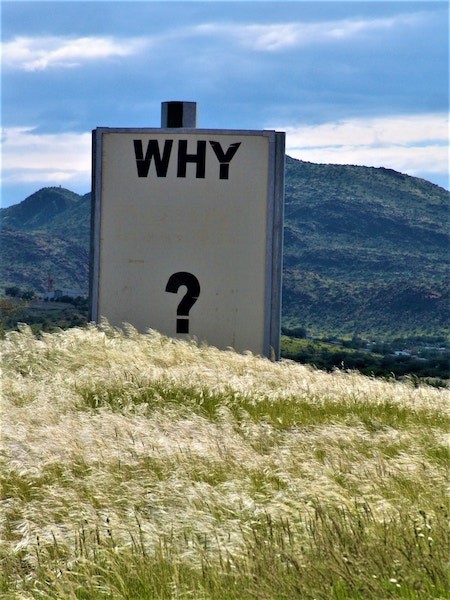 Why Buy Whole Life?