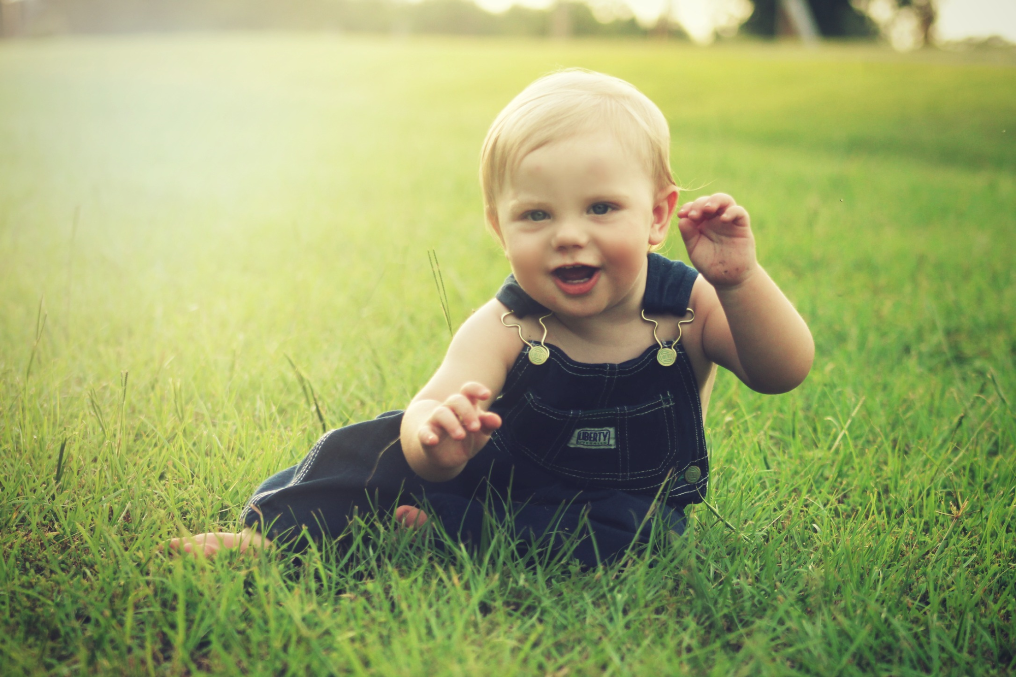 Gerber Whole Life Insurance Review | Top Whole Life
