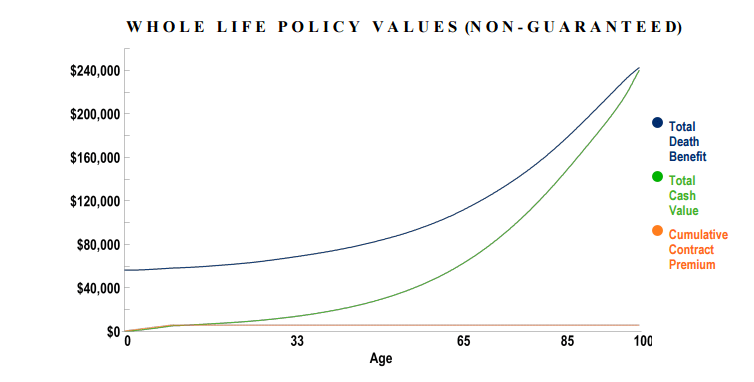 Kids Policy L10.Png