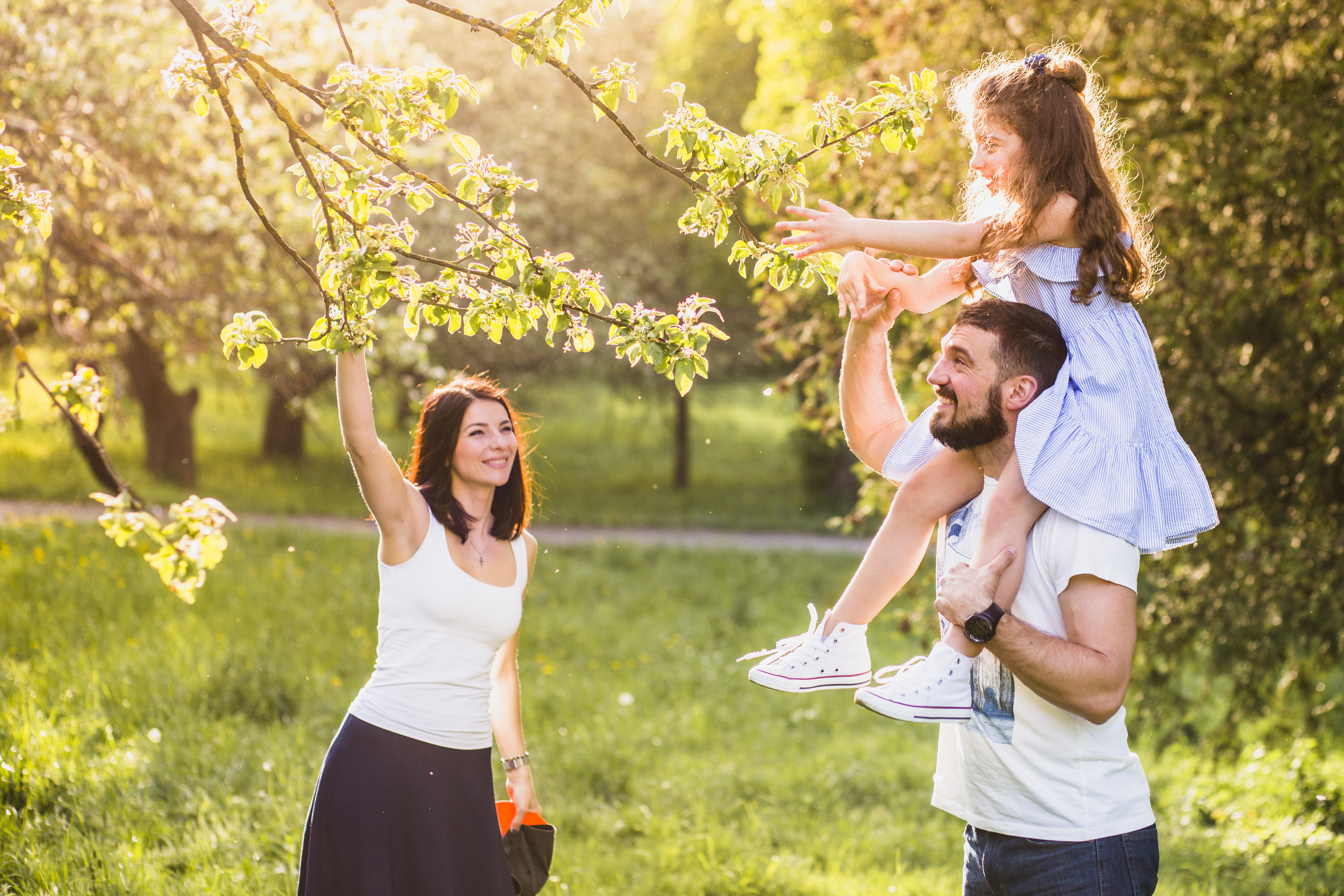 The Benefits of Whole Term Life Insurance: Why It's a Smart Investment
