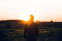 SBLI Whole Life Insurance Review [Not Your Best Whole Life]