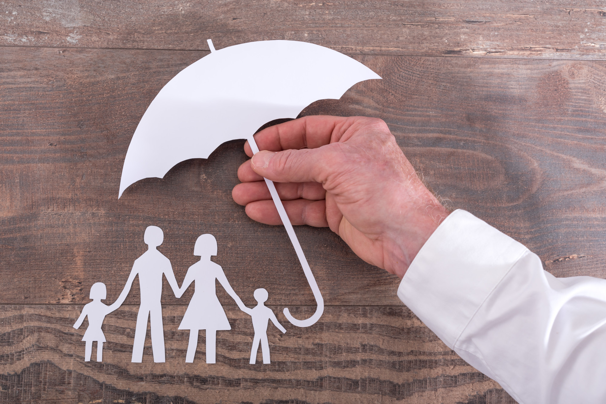 Comparing Insurers: The Mutual and Stock Insurance Company