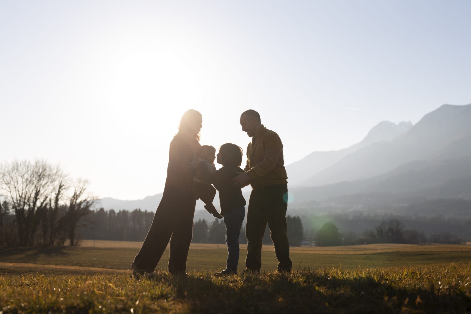 Whole Term Life Insurance: Balancing Flexibility and Long-Term Protection